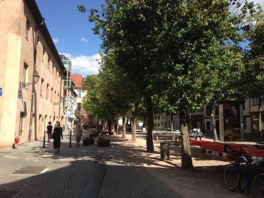 Petite Austerlitz Apartman Strasbourg Kültér fotó